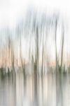 IMG_1302 v5