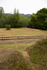 Deer trail
