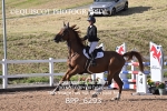 BPP_6293
