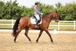 SBM_005231