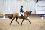 Class 5 - Novice 6 Gold - 11.41-12.51 portfolio
