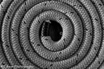Coils