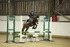 AJG_0794_1