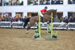 SBM_003518
