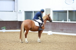 SBM_000455