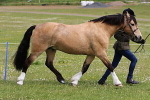 SIAL6420
