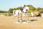 SBM_003395