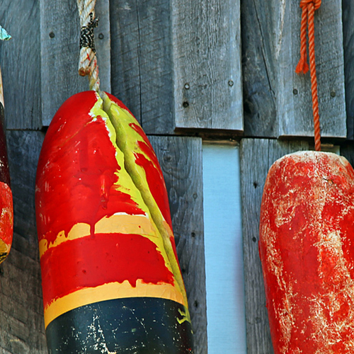 Buoy of Fundy