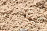230819A-135354-00735
