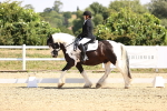 SBM_003682