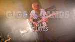 Pigsx7-26