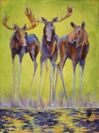 Stand Your Ground SOLD