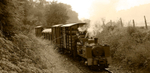 WLLR Dougal approaches Cyfronydd from Llanfair with mixed goods wagons