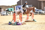 SBM_002652