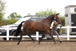 SBM_00046