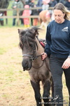 SHETPR 210425 21
