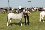SBM_00656
