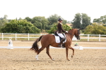 SBM_005242