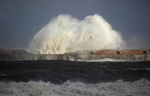 Roker storm   ref 9926