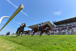 230626-Race 3-Tamzan-1320