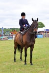 Class 9-11 Side Saddle including LIHS Rising Star Ladies Show Horse portfolio