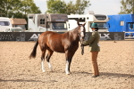 SBM_08202