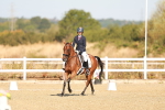 SBM_016499