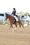 SBM_012011