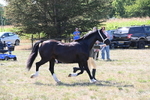 WJ6_4872