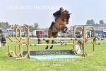 BPP_6873