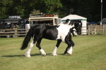 SBM_10326