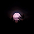 10th June Strawberry Moon