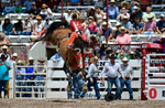 3HRodeo7-26-25_CFD_oooo1873_