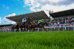 300826-Race 2-Jm Jungle-6085