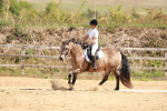 SBM_010640