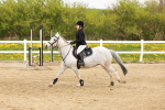 SBM_004236