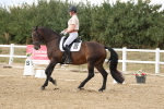 SBM_011036