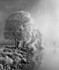 Hoar Frost Mono