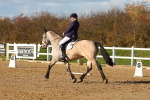 SBM_001550