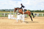SBM_003431
