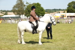 SBM_07082