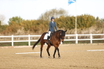 SBM_008966