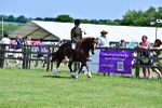 SBM_07951