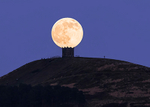 Pike Full Moon