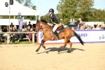 SBM_14952
