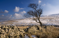 Yorkshire Dales portfolio