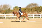SBM_009068