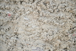 251004A-101054-00388