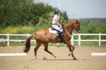 SBM_008909