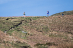 Black Combe-737